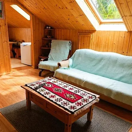 For 4 People, Wisełka